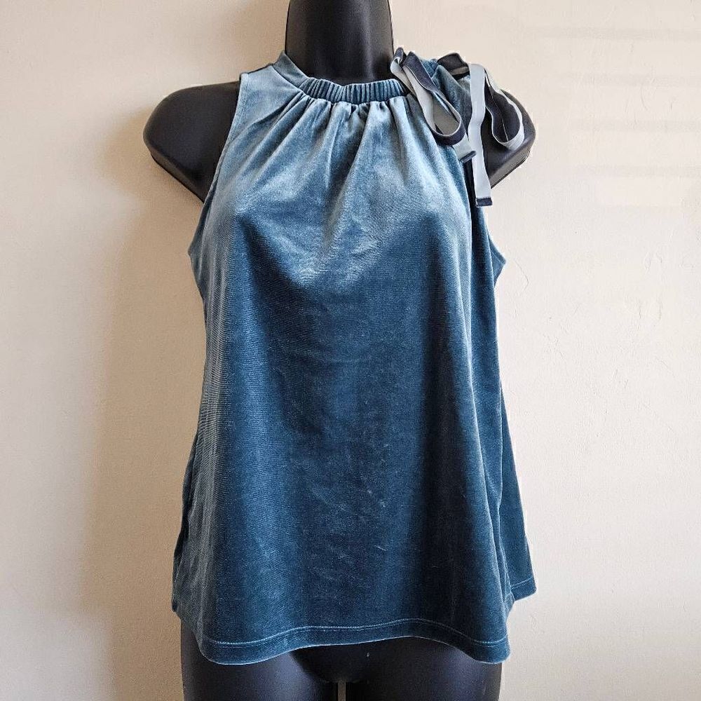 Ann Taylor Velvet Tank Top - Picture 2 of 8
